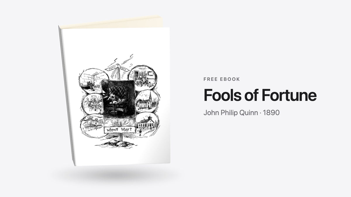 Fools of Fortune by John Philip Quinn - free eBook cover