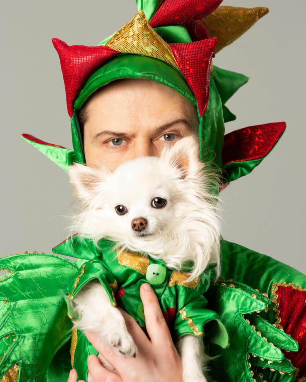 Piff the Magic Dragon
