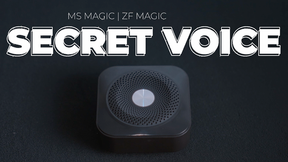 Secret Voice