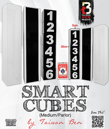 Smart Cubes (Medium / Parlor)