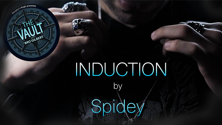 The Vault - Induction