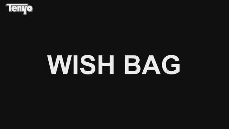 Wish Bag