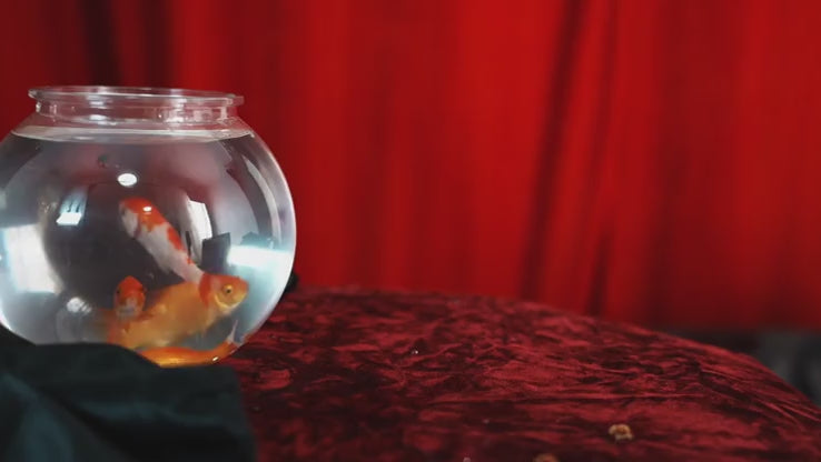 Flash Fish Production