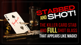 Stabbed & Shot 2