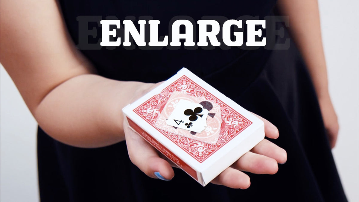 Enlarge - SansMinds Creative Lab