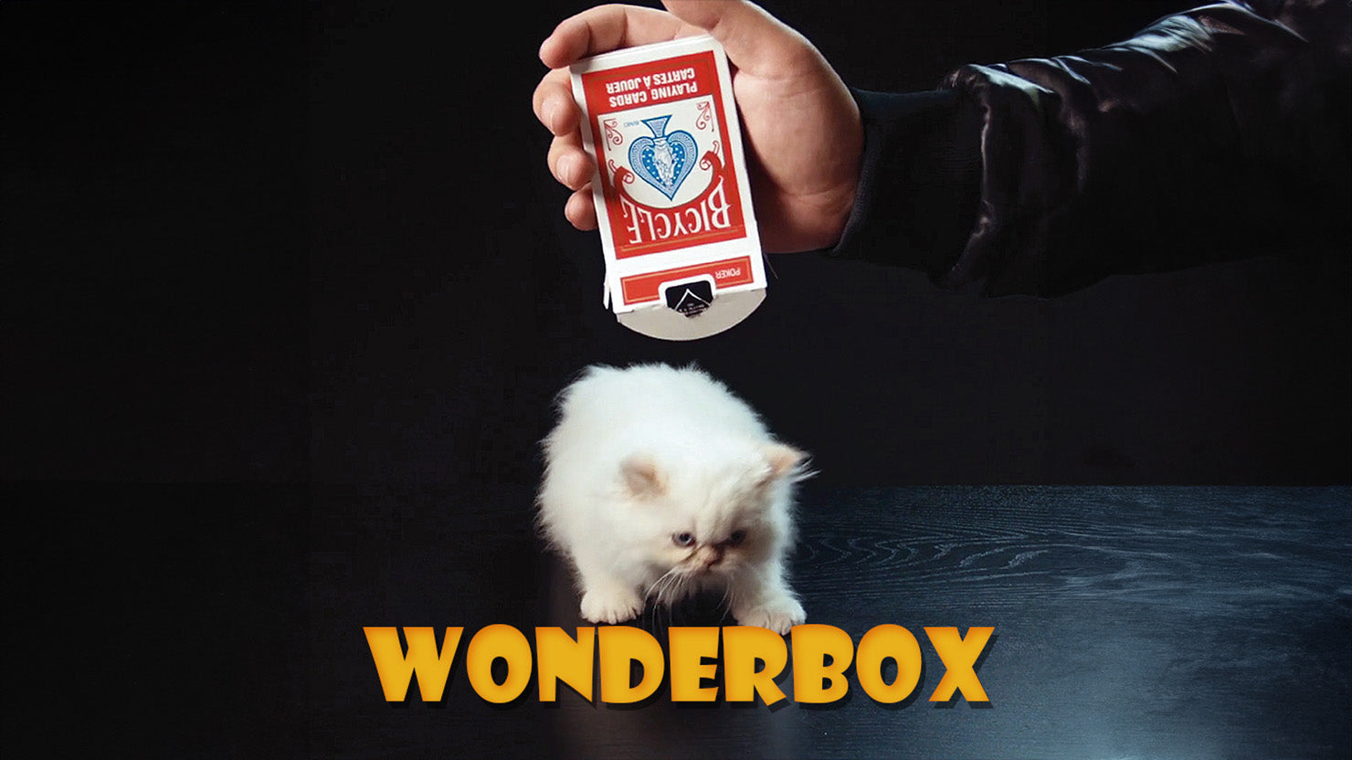 Wonderbox - SansMinds Creative Lab - The Online Magic Store
