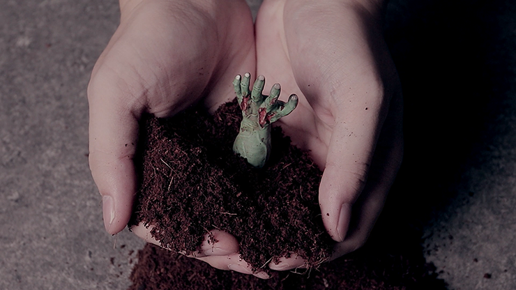 Zombie Hand, photo 2