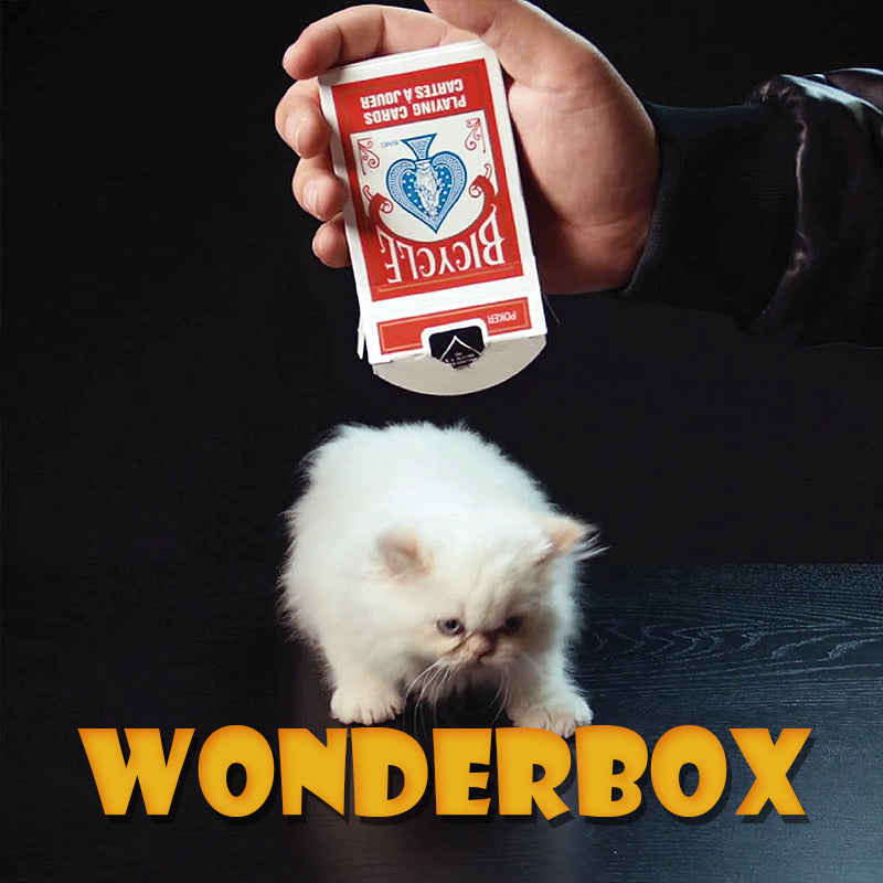 Wonderbox | The Online Magic Store