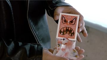 Devour, photo 2
