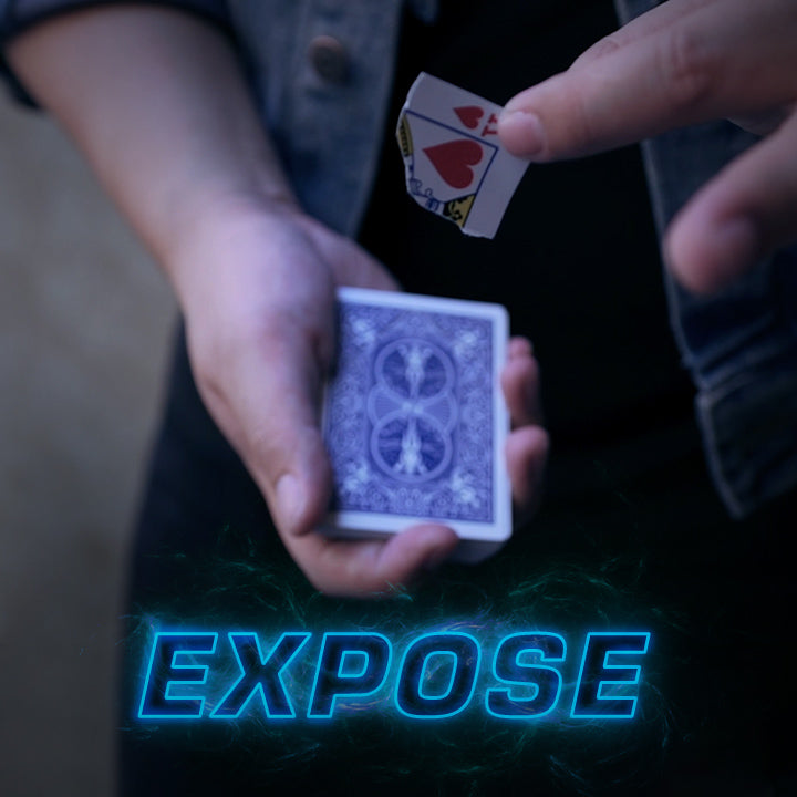 Expose - SansMinds Creative Lab