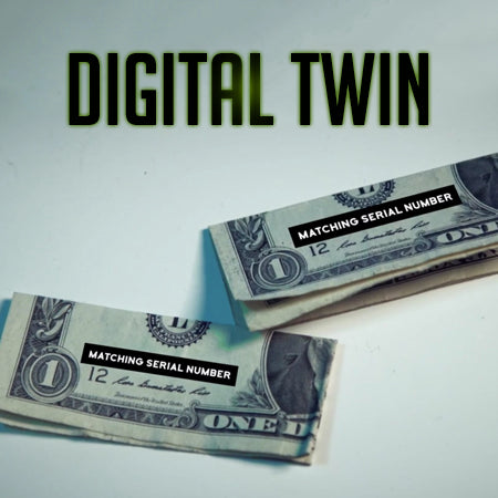 Digital Twin, photo 2